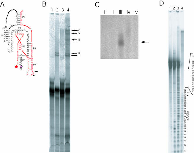 FIGURE 4.