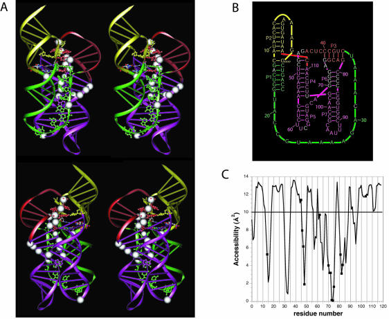 FIGURE 3.