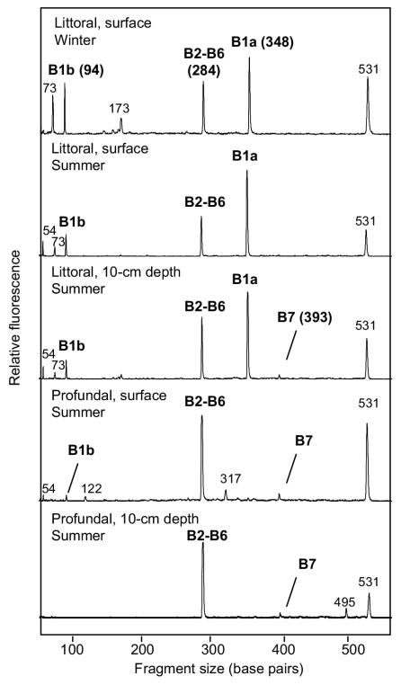 FIG. 2.