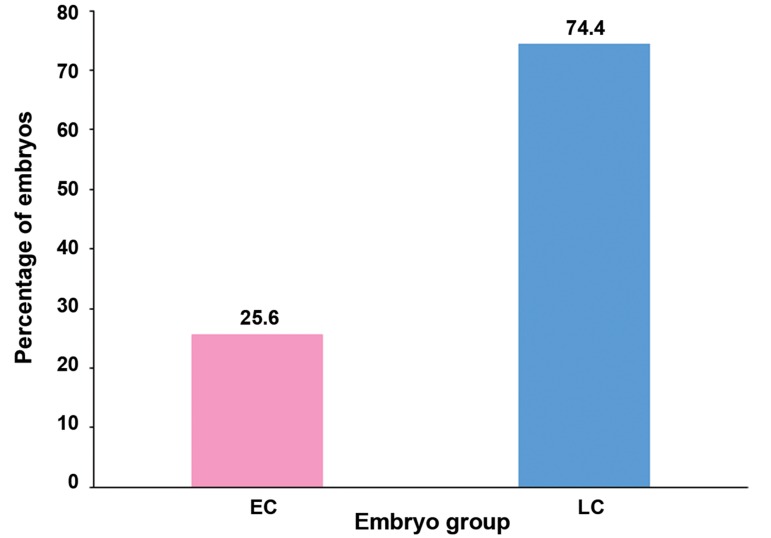 Fig.2