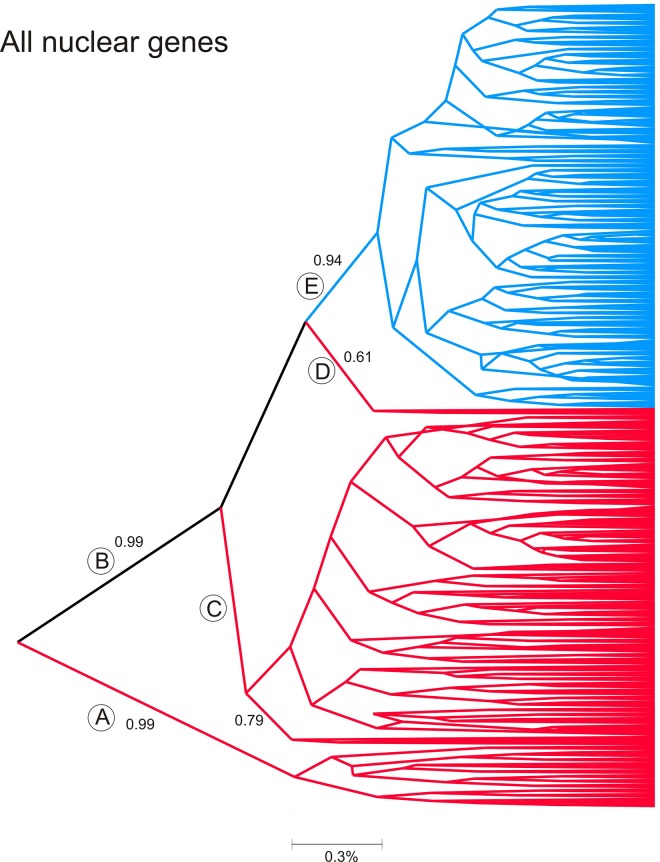 Fig 5