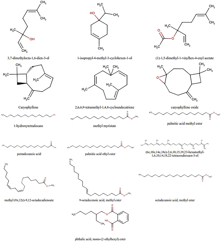 Figure 5