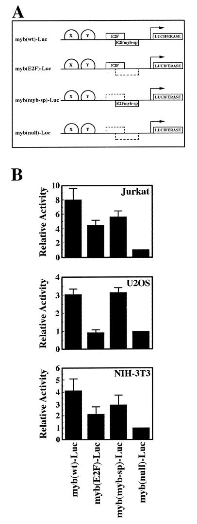 FIG. 7