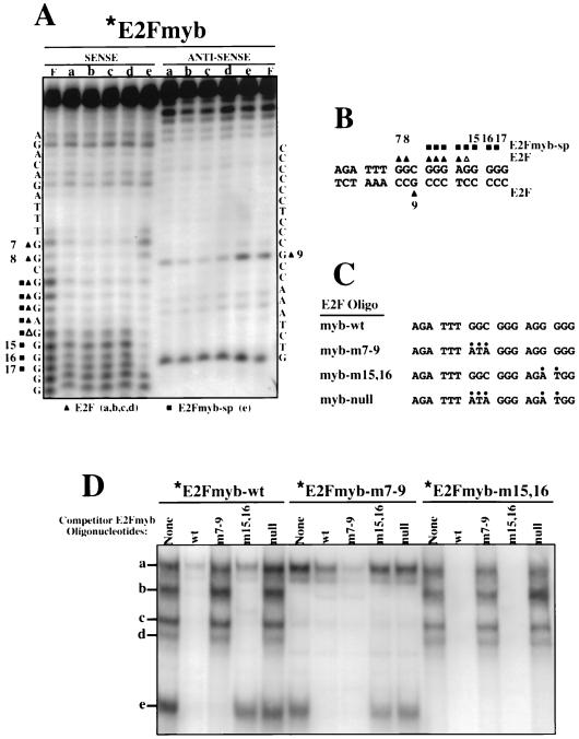 FIG. 5