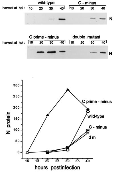 FIG. 6