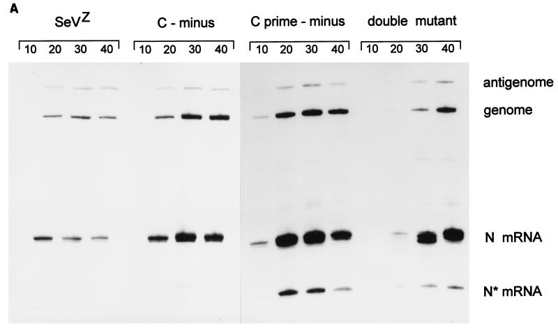 FIG. 5