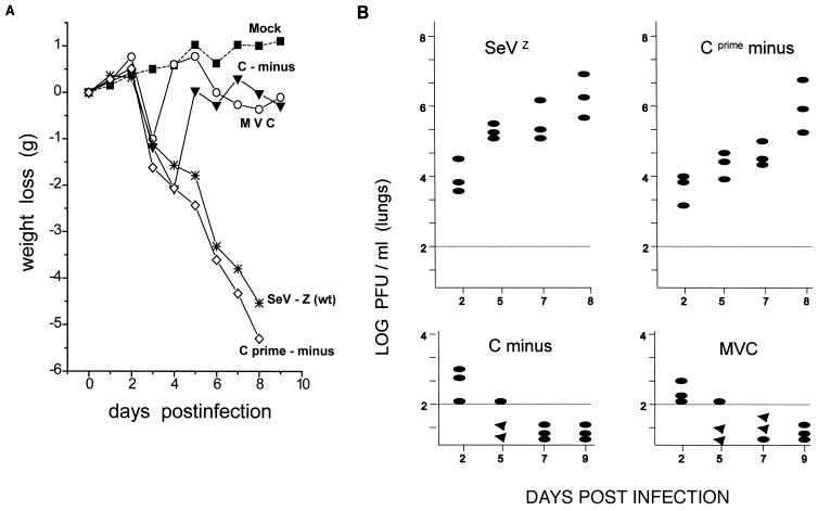 FIG. 7