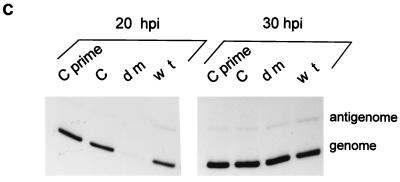 FIG. 5