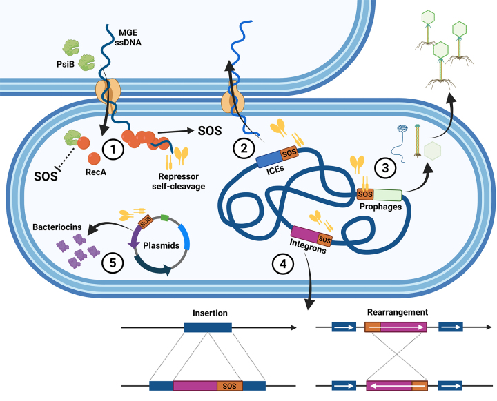 Figure 2 - 