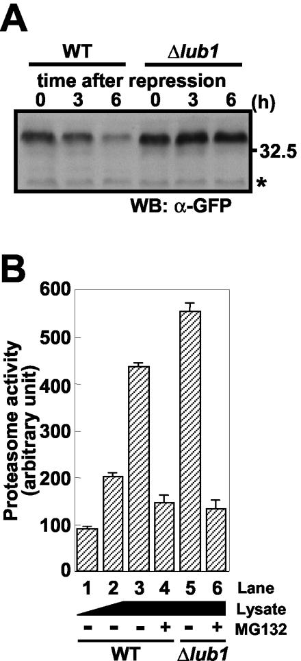 FIG. 5.