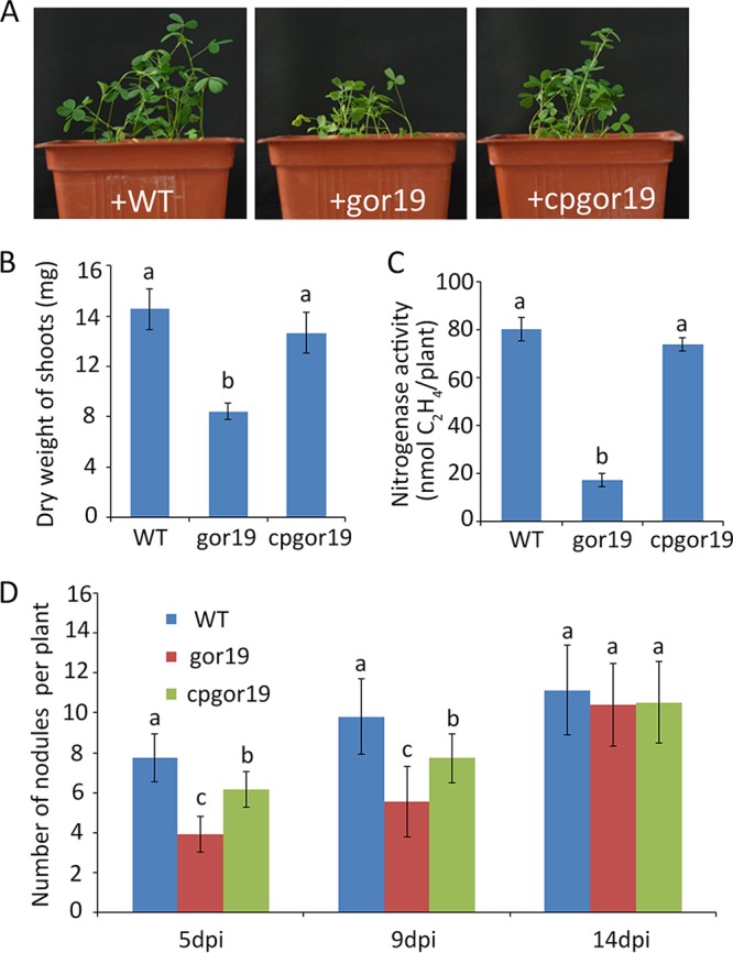 FIG 6