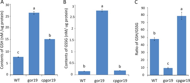 FIG 3