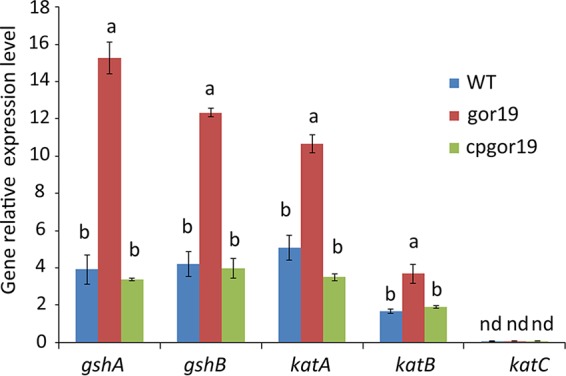 FIG 4