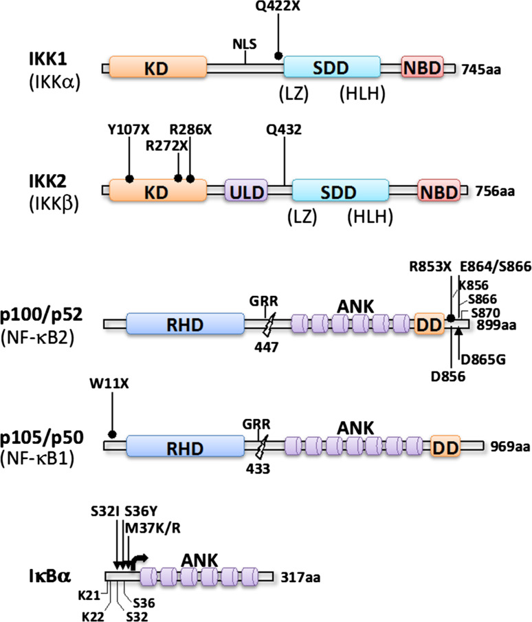 Fig. 4