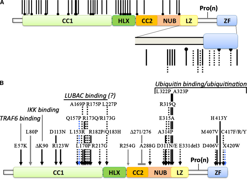 Fig. 3