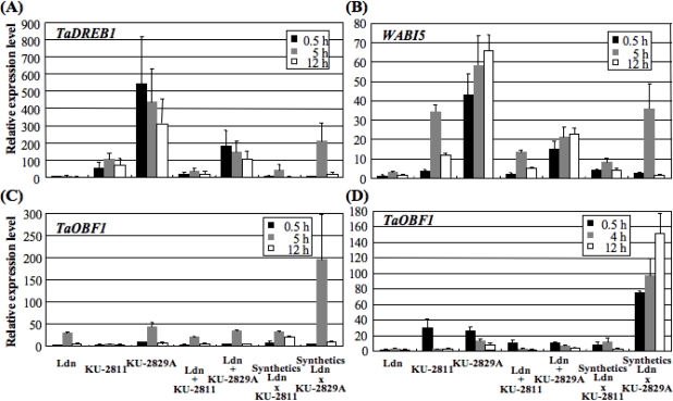 Figure 6.