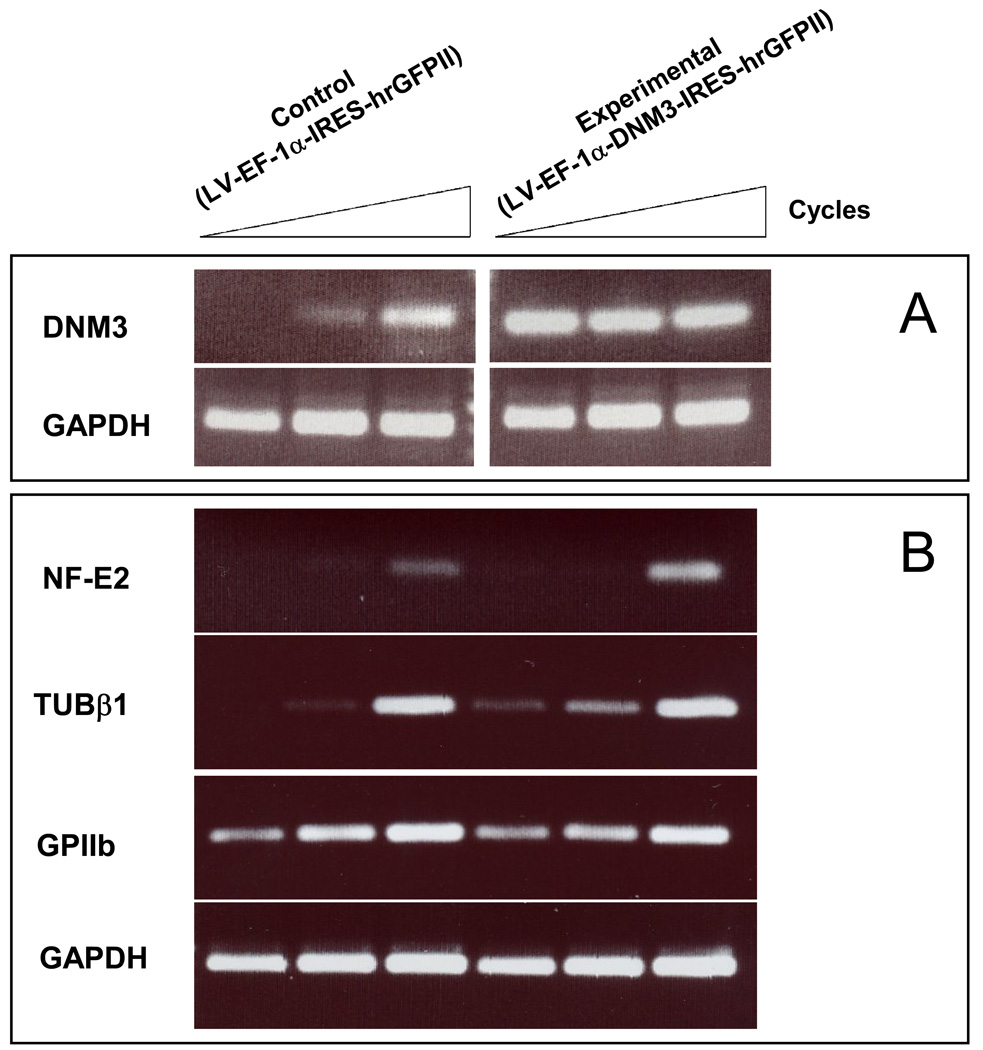 Figure 9