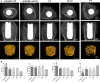 Fig. 9
