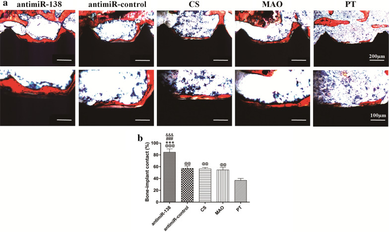 Fig. 10