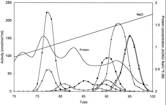 FIG. 6