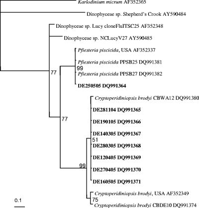 FIG. 4.