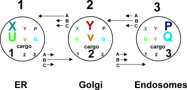 Figure 5.