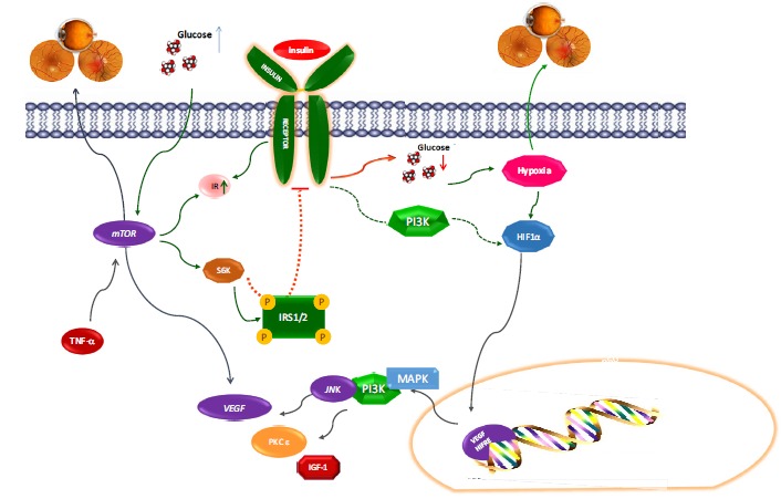 Fig. (3)