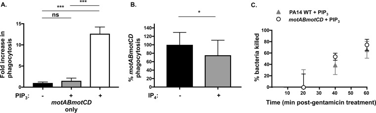 FIG 3