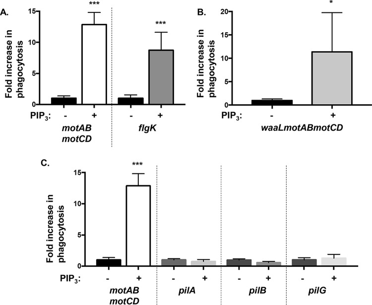 FIG 1