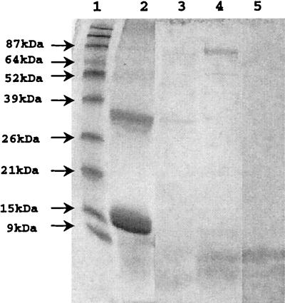 FIG. 6