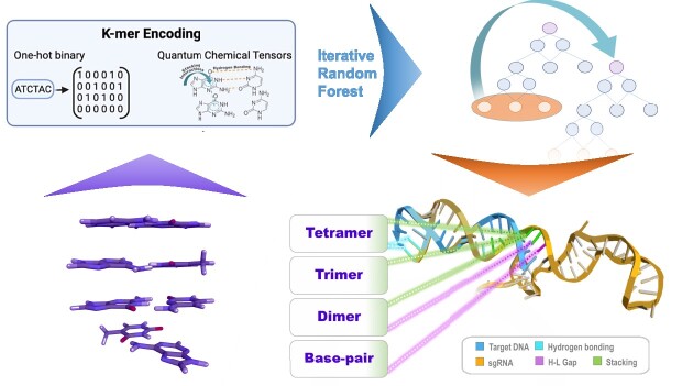 Graphical Abstract