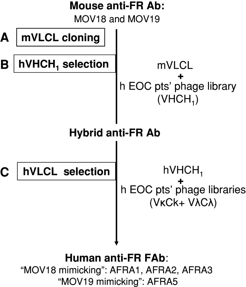 Fig. 2