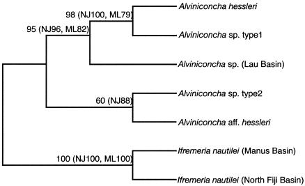 FIG. 1.