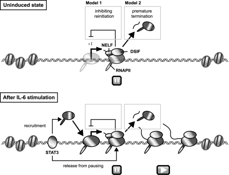 FIG. 7.