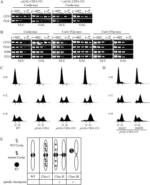 Figure 2.—