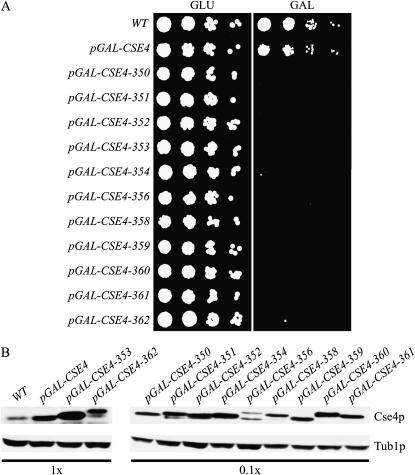 Figure 1.—