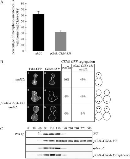 Figure 5.—