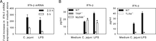 FIG. 5.