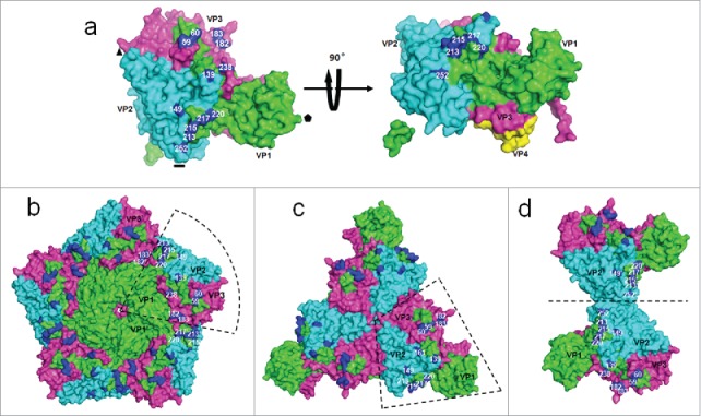 Figure 5.