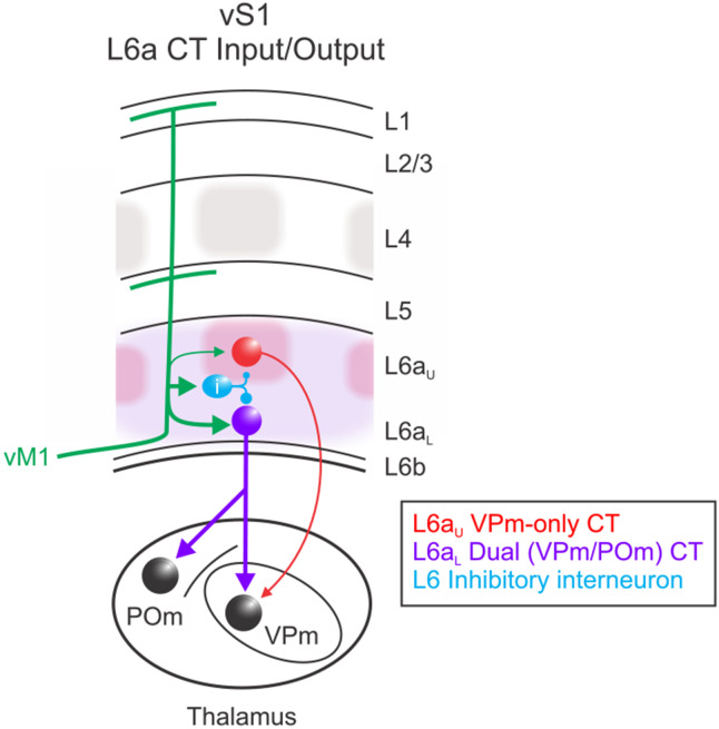 Figure 7.