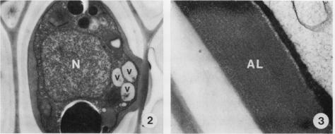 Figure 2-3