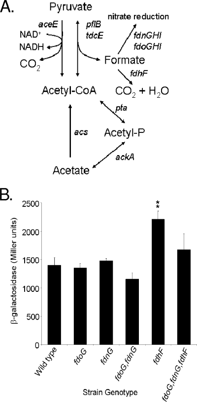 FIG. 5.