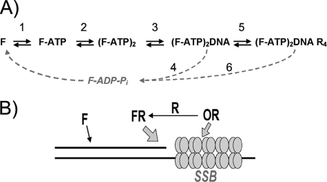 FIGURE 8.