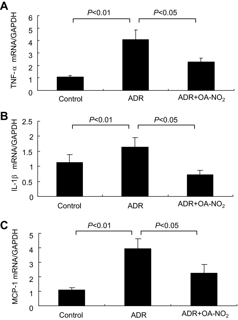 Fig. 9.