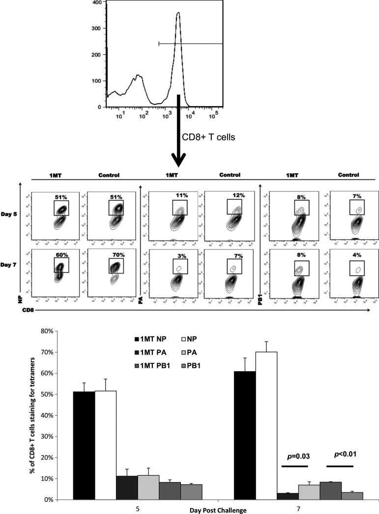 FIG. 4.