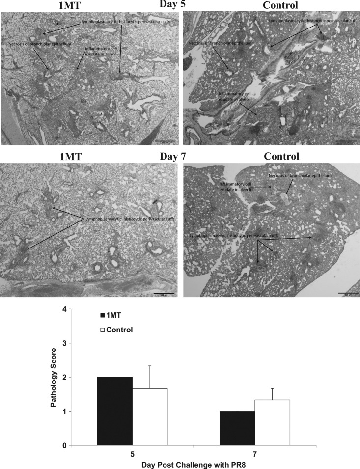 FIG. 8.