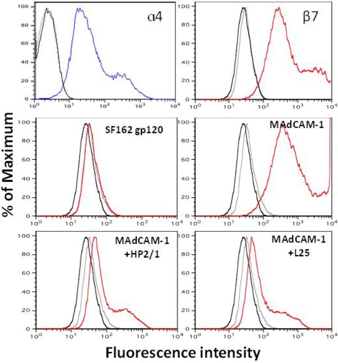 FIG 6