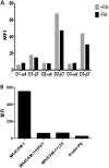 FIG 1