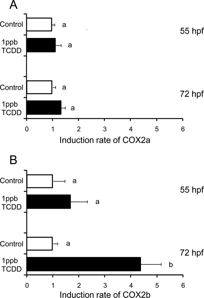 FIG. 10