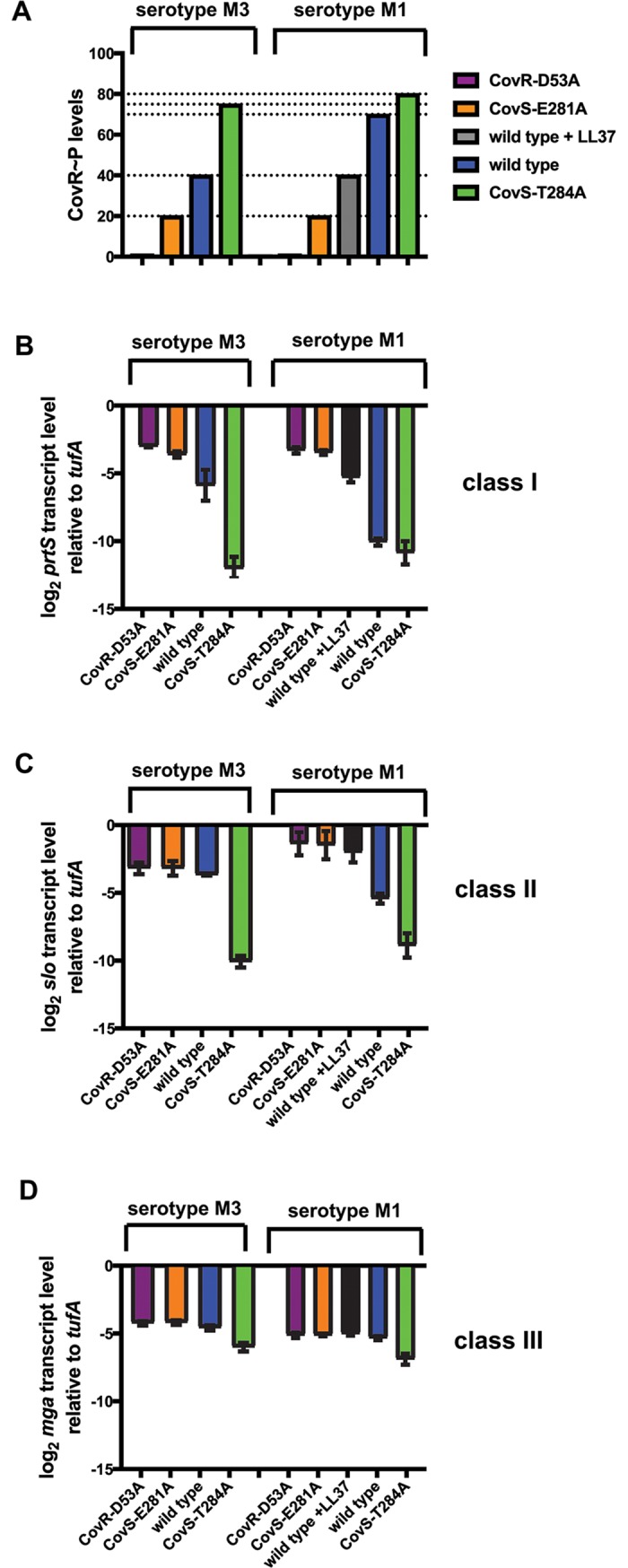 Fig 6